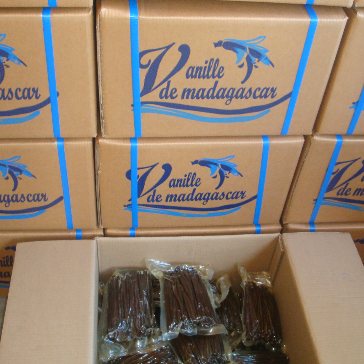 resources of Madagascar Grade A Gourmet  Vanilla beans exporters