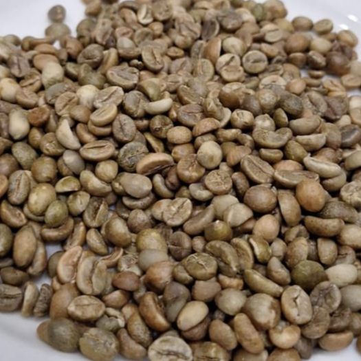 resources of Robusta G1 exporters