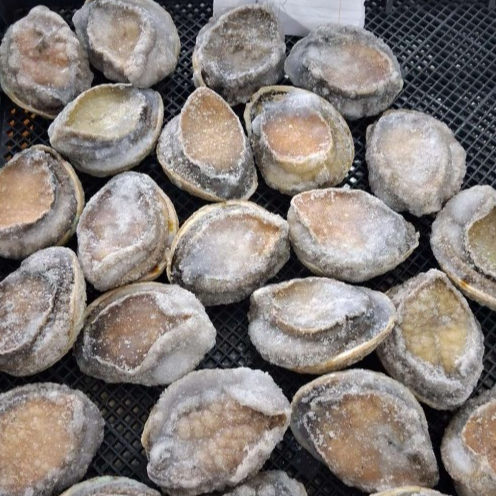 resources of Frozen Abalone exporters