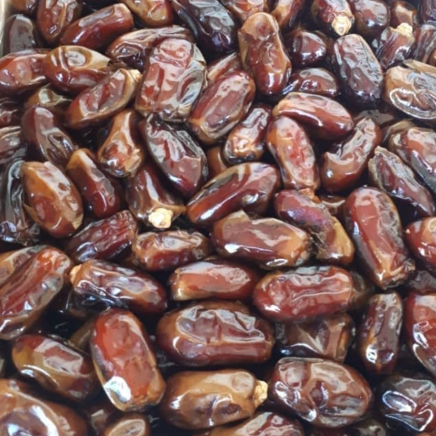 resources of yousef mohseni exporters