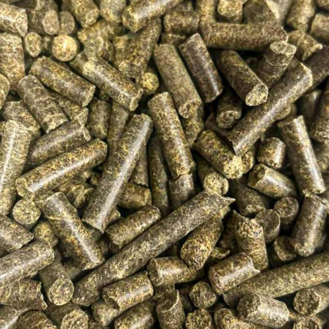 resources of Rapeseed Meal for Animal Feed exporters