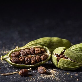 resources of Cardamom - spice exporters
