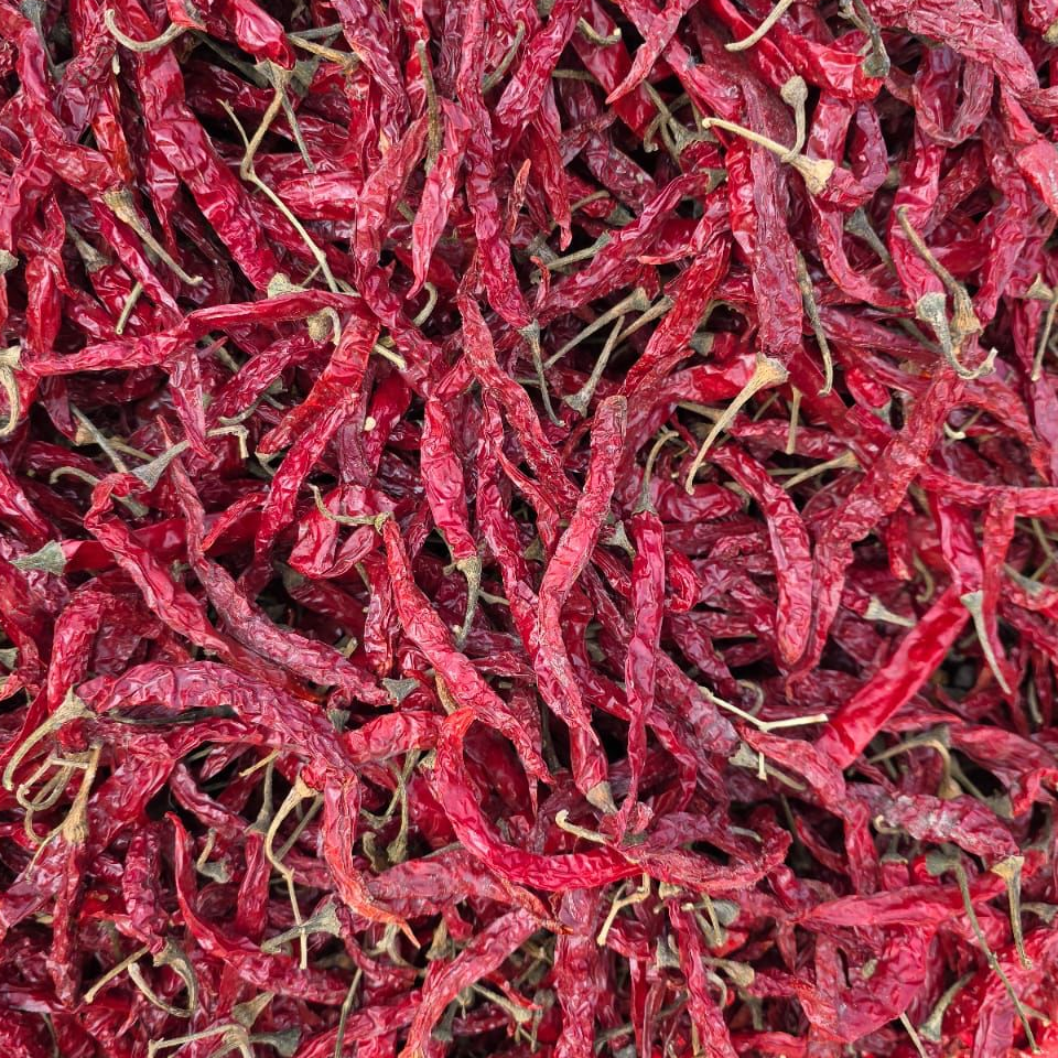 resources of Red chilli exporters
