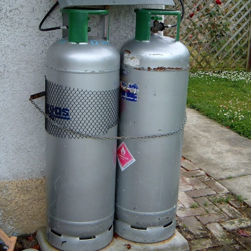 resources of Liquefied natural gas exporters