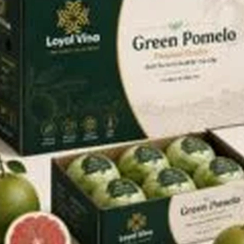 resources of Fresh Vietnamese Pomelo exporters