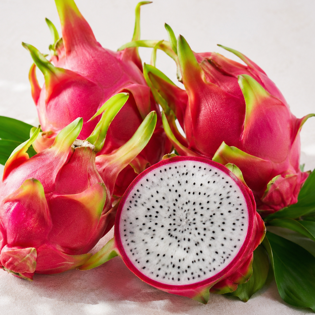 resources of Fresh Vietnamese Dragon Fruit exporters
