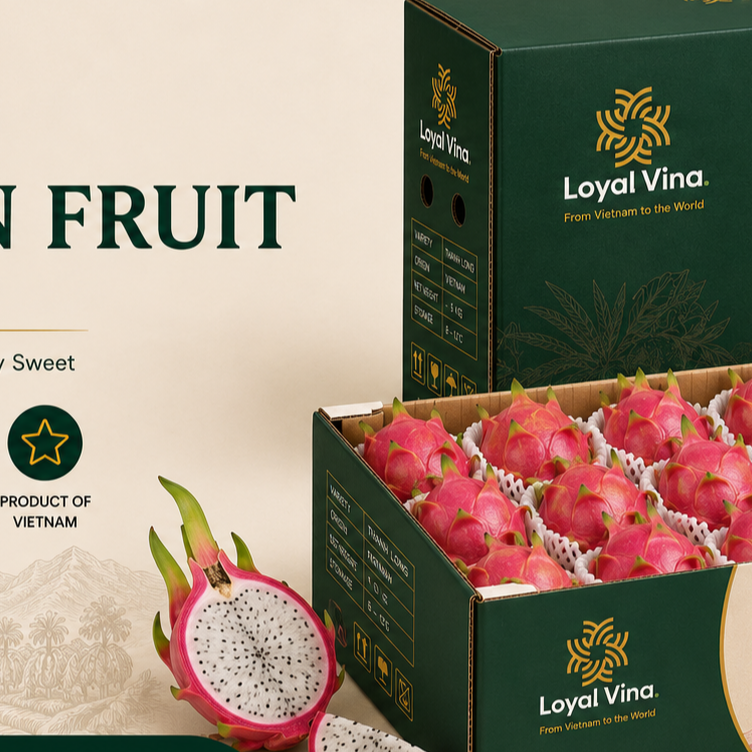 resources of Fresh Vietnamese Dragon Fruit exporters