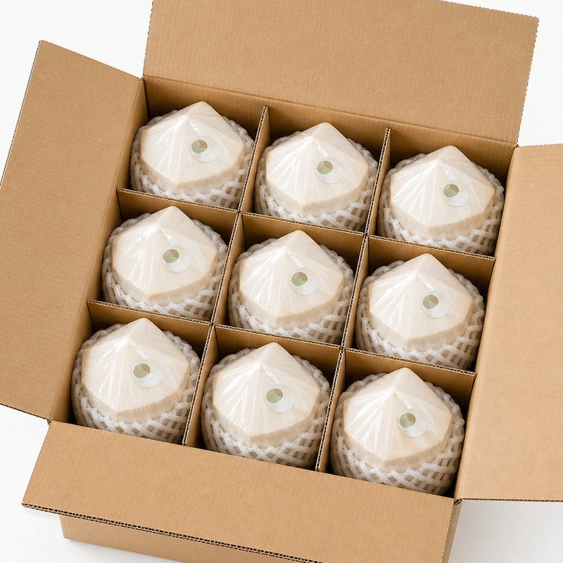 resources of Fresh Vietnamese Young Coconut exporters