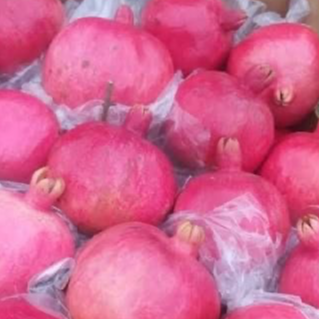 resources of Pomegranates exporters