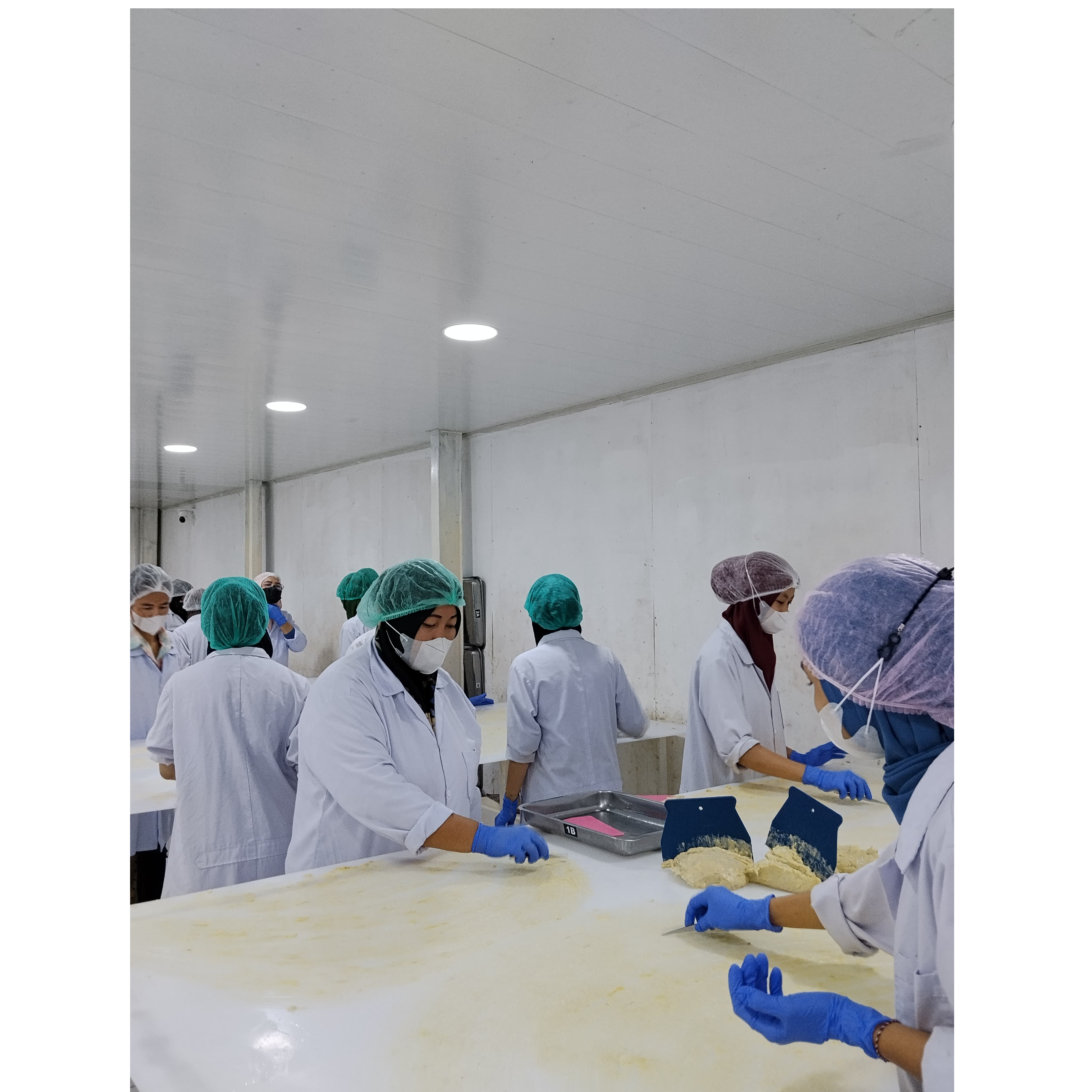 resources of Frozen Durian Paste exporters