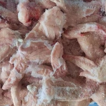 resources of COOPERATIVA CENTRAL AURORA ALIMENTOS – Frozen Chicken Wholesale Supply from Brazil exporters