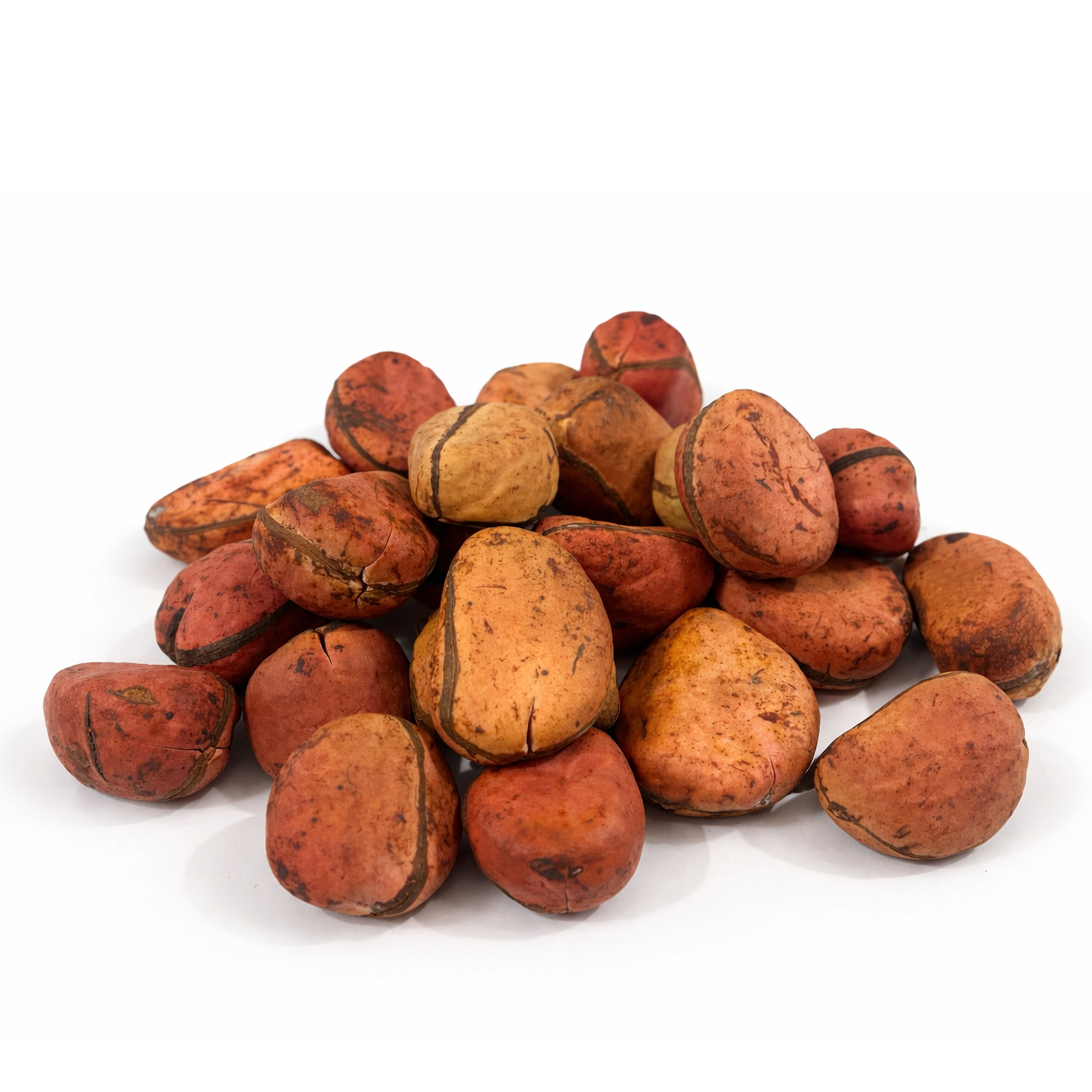 resources of Fresh Kola Nut - Premium Cola Acuminata exporters