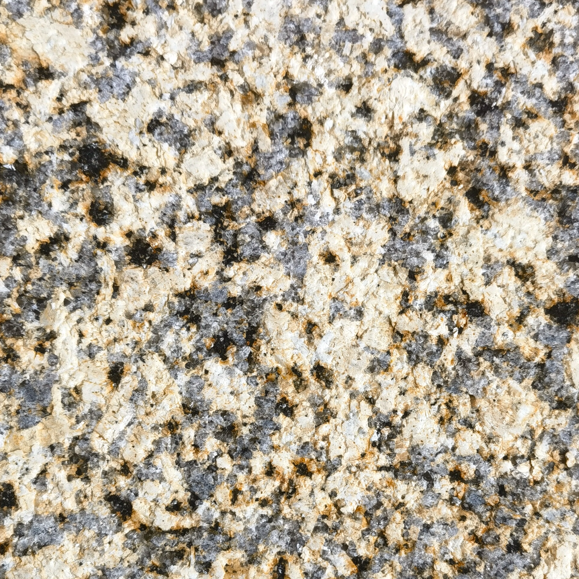 resources of Tianshan Golden Diamond Yellow Granite Slabs for Landscape Paving exporters