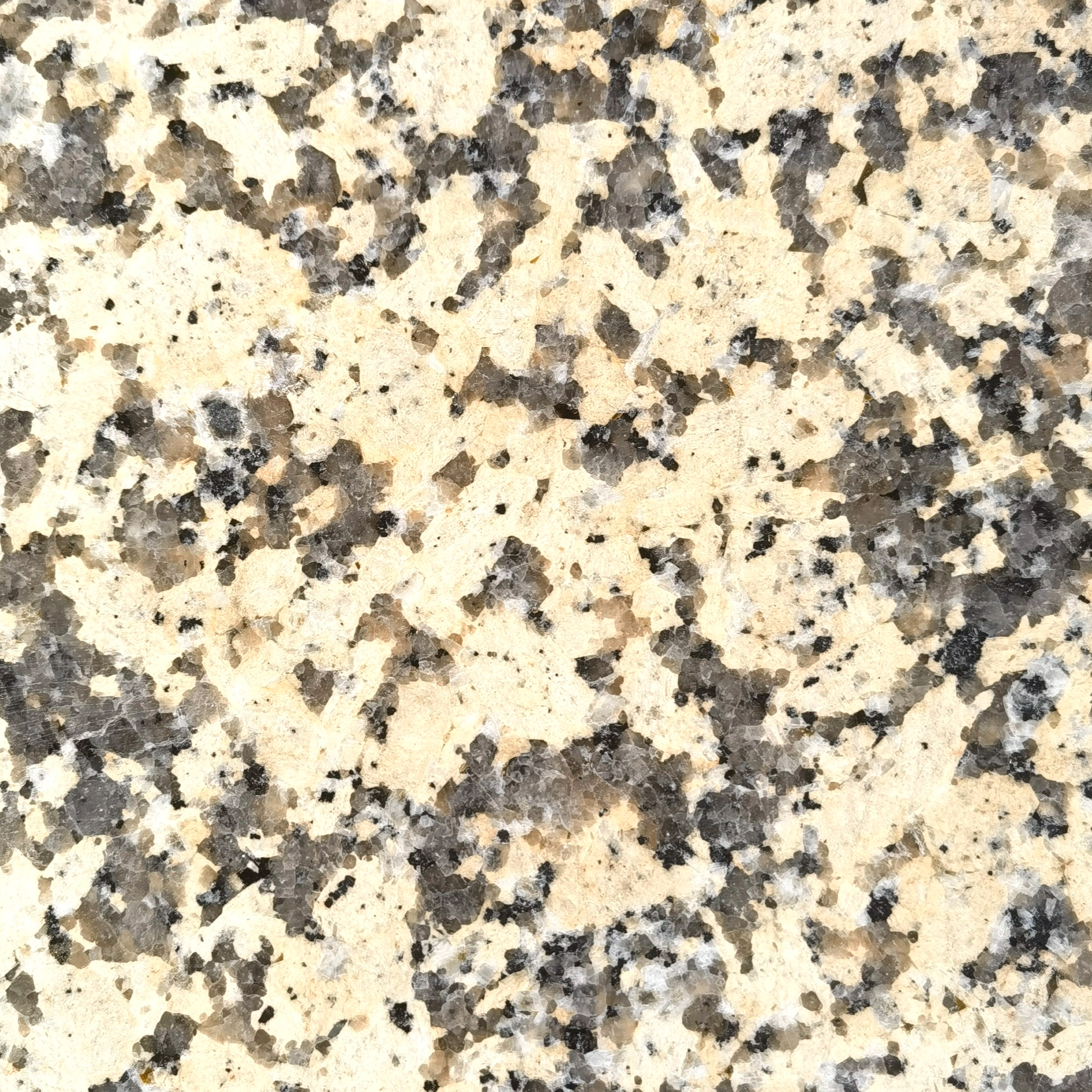 resources of Tianshan Golden Diamond Yellow Granite Slabs for Landscape Paving exporters