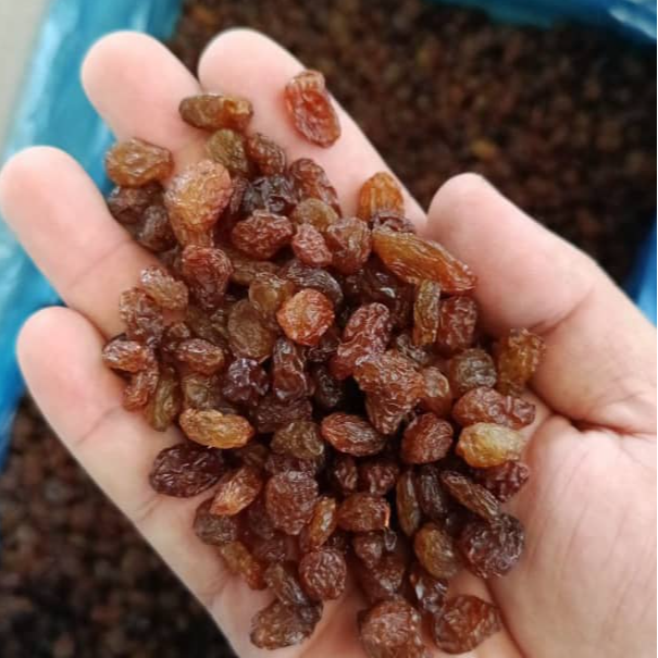 resources of Sultana Raisins exporters