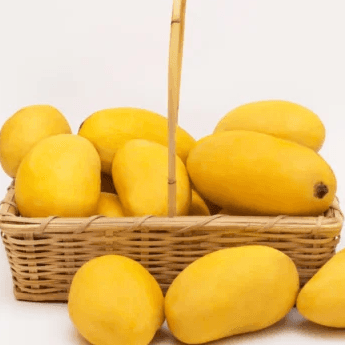 resources of Fresh Pakistani Mangoes for Export exporters