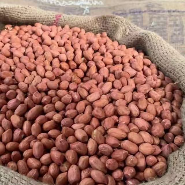 resources of Nigerian pure peanut exporters