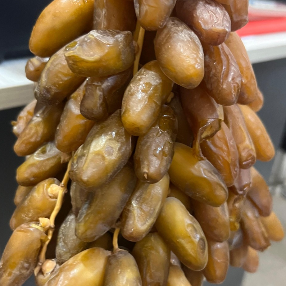 resources of Algerian Dates from Tolga Biskra - Wholesale Pallet Supply exporters