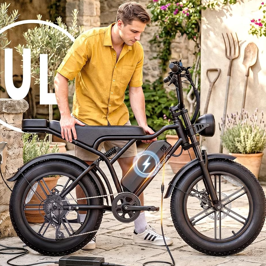resources of Jasion RetroVolt Electric Bike exporters