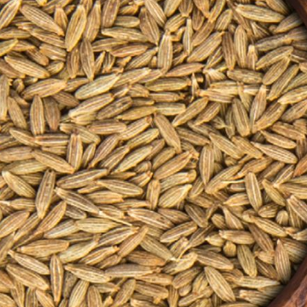 resources of Cumin exporters