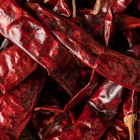 resources of Dry Red Chilli exporters
